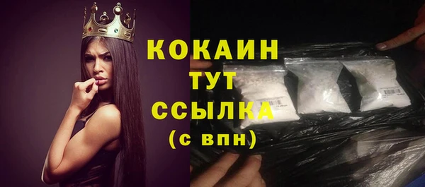 мдпв Бородино