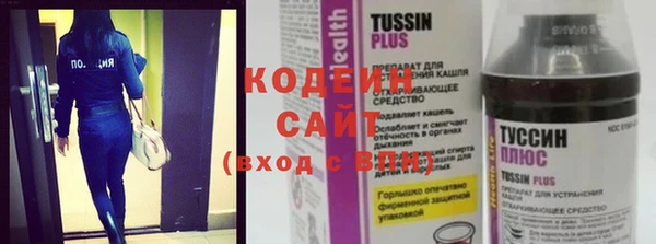 мдпв Бородино