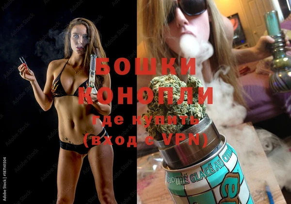мдпв Бородино