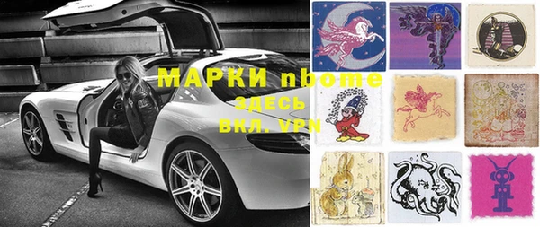 мдпв Бородино