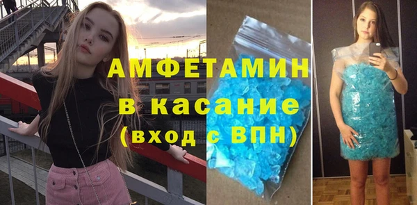 мдпв Бородино