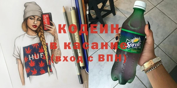 мдпв Бородино