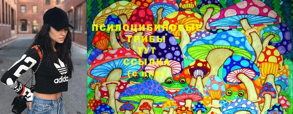 гидра Бугульма
