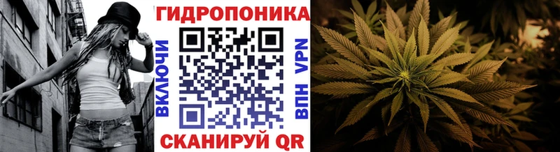 Каннабис индика  blacksprut маркетплейс  Нерехта 